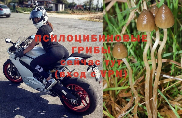 кокс Беломорск