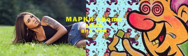 мдпв Богданович