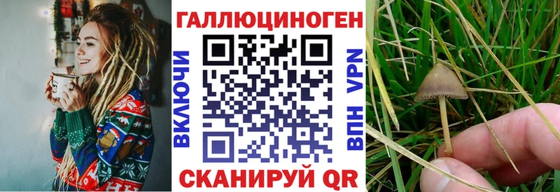 наркотики Малмыж Псилоцибиновые грибы Magic Shrooms